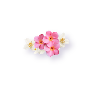 Plumeria Jasmine