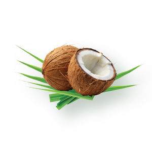 Toasted Coconut